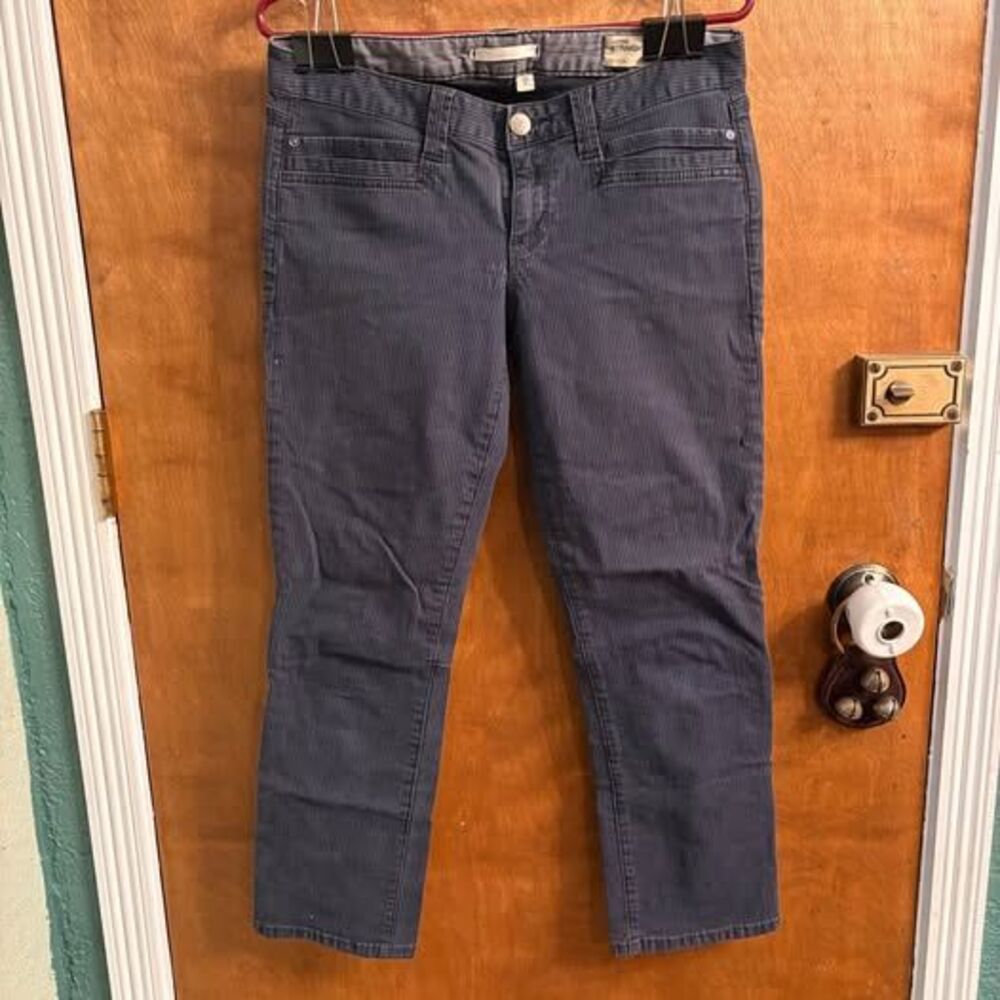 Low Rise Crop Navy Blue with Pinstripe  Pants size 6/28 Gap Fall 2009